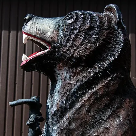 кичера Gold Casa de hóspedes Mizhhirya (Transcarpathia)