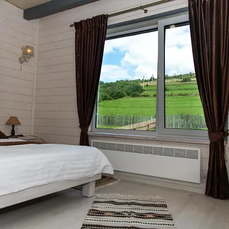 кичера Gold Casa de hóspedes Mizhhirya (Transcarpathia)