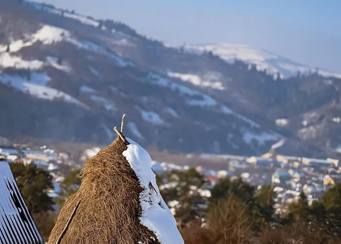 кичера Gold 4* Mizhhirya (Transcarpathia)